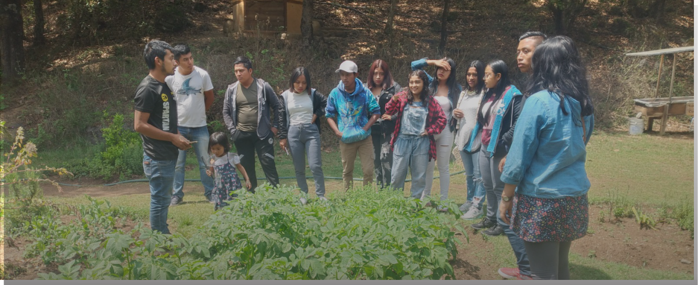 Juegas Asociacion Civil en Chiapas
