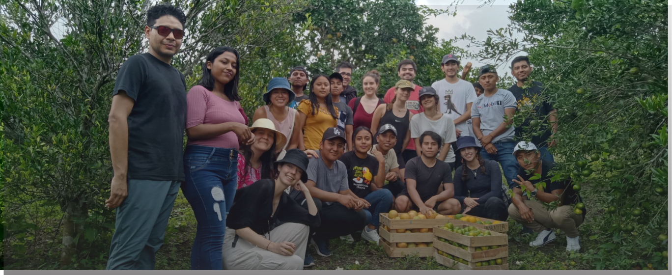 Juegas Organizacion Civil en Chiapas México.