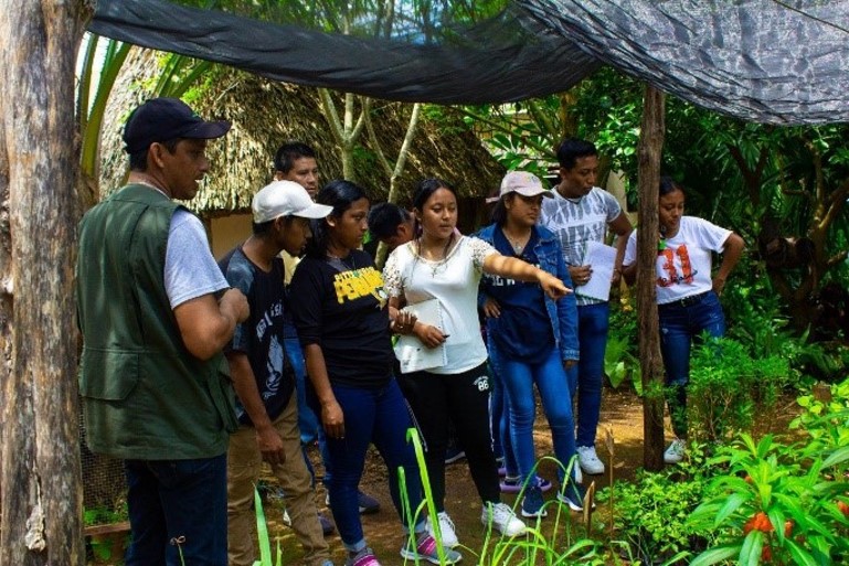 juegas ac agroecologia juegas ac agroecologia